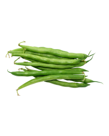 Baguio Beans