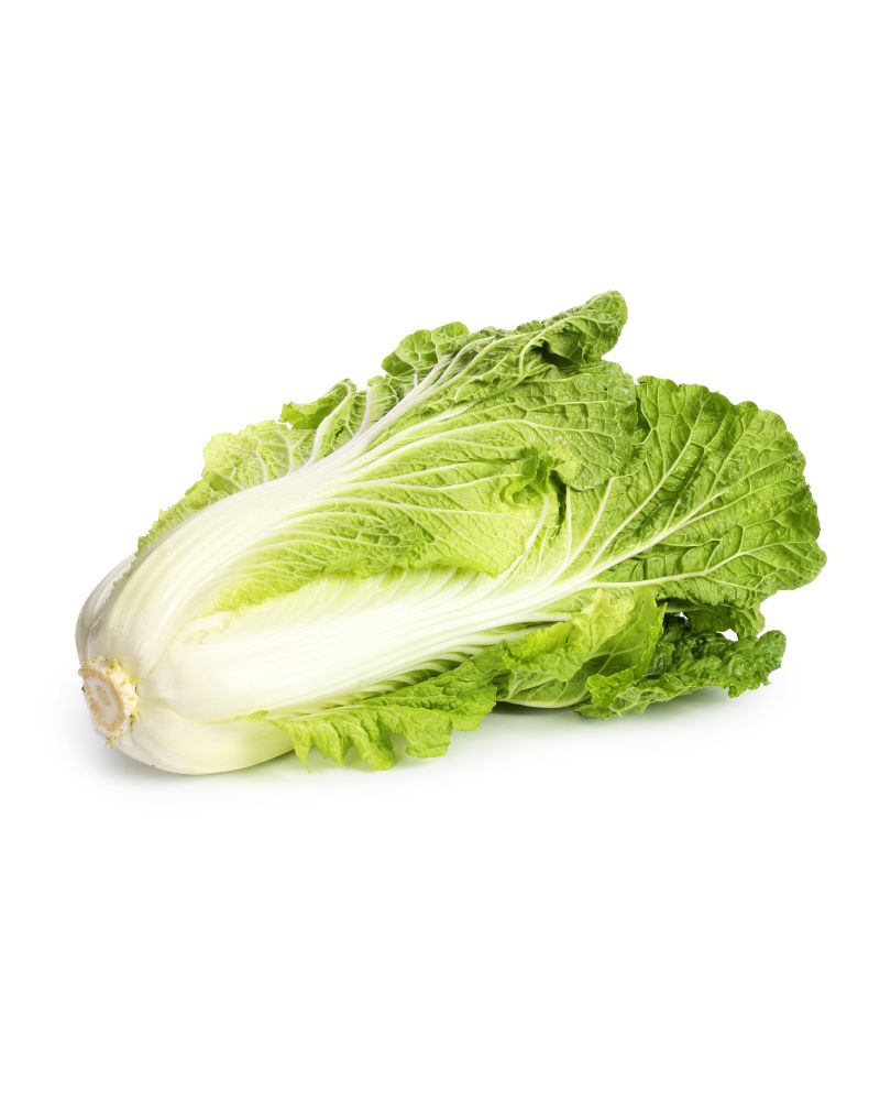 Pechay Baguio Wombok Chinese Cabbage