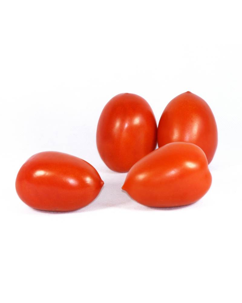 Kamatis Tomato